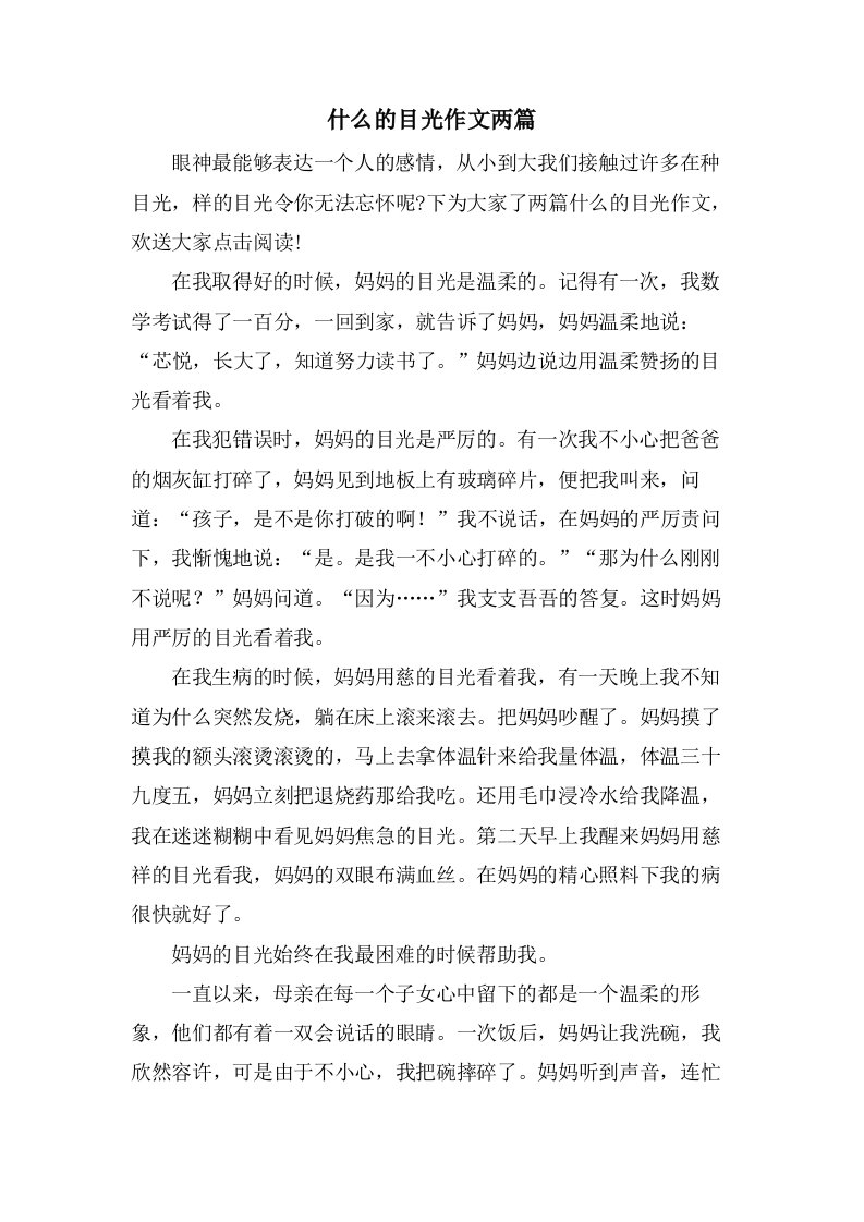 什么的目光作文两篇