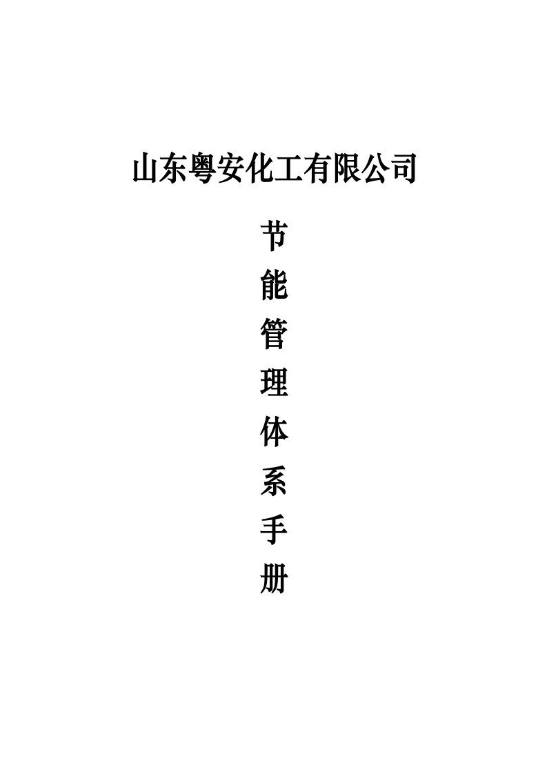 能源管理体系手册_图文