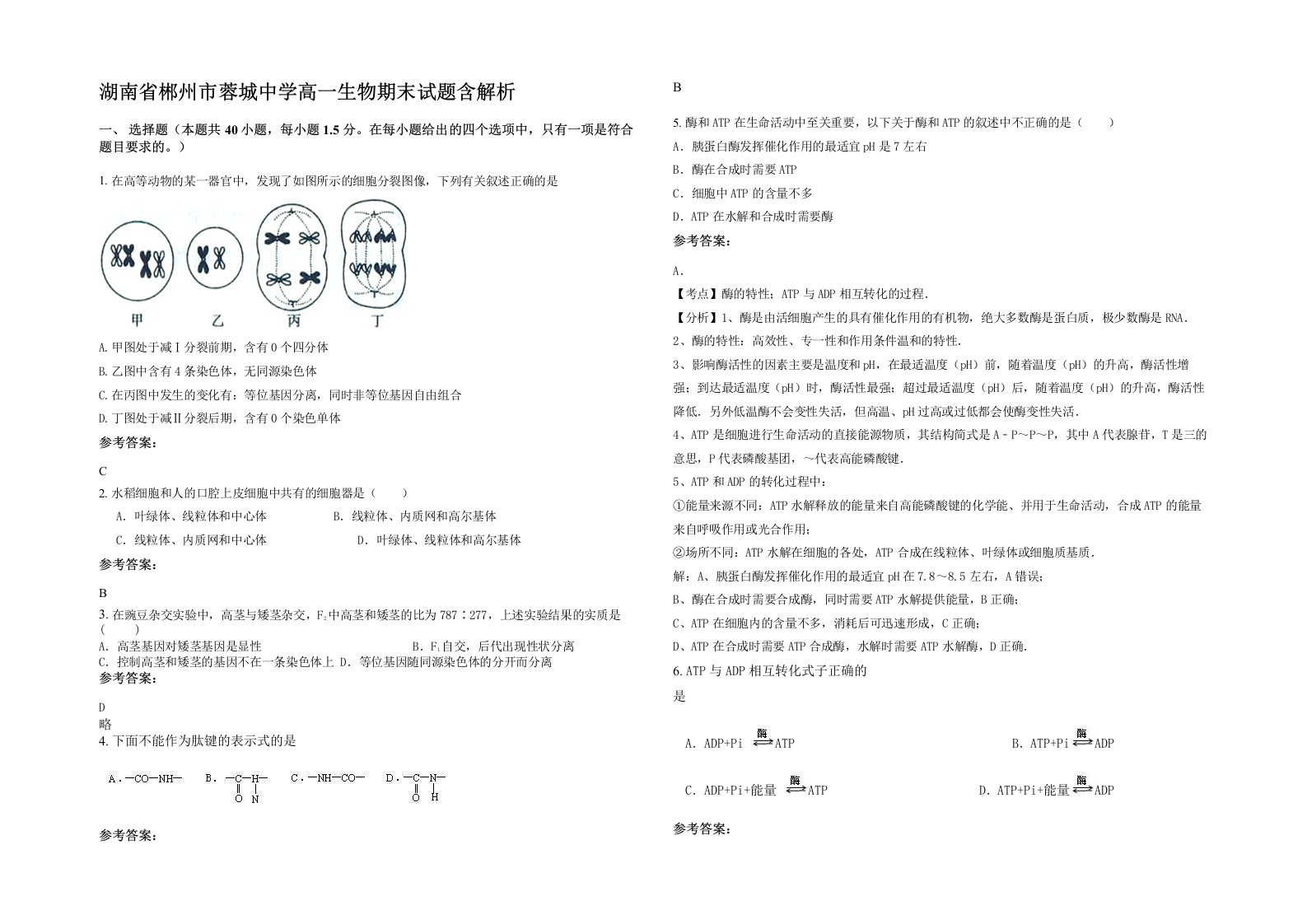 湖南省郴州市蓉城中学高一生物期末试题含解析