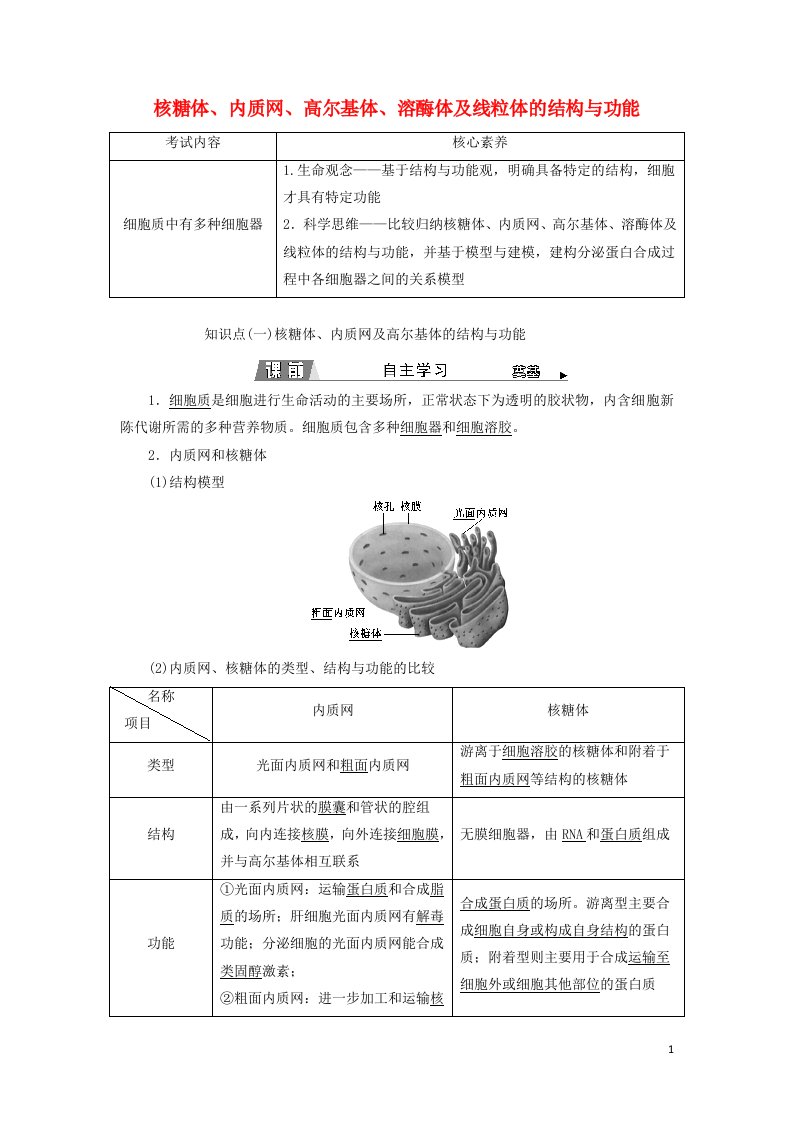 2021_2022新教材高中生物第二章细胞的结构第三节第1课时核糖体内质网高尔基体溶酶体及线粒体的结构与功能学案浙科版必修1