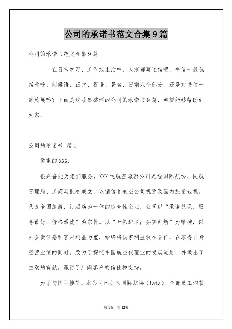 公司的承诺书范文合集9篇例文