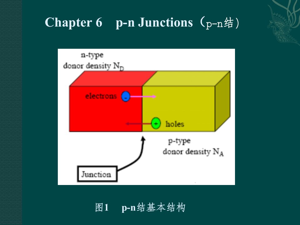 半导体物理基础PN结课件