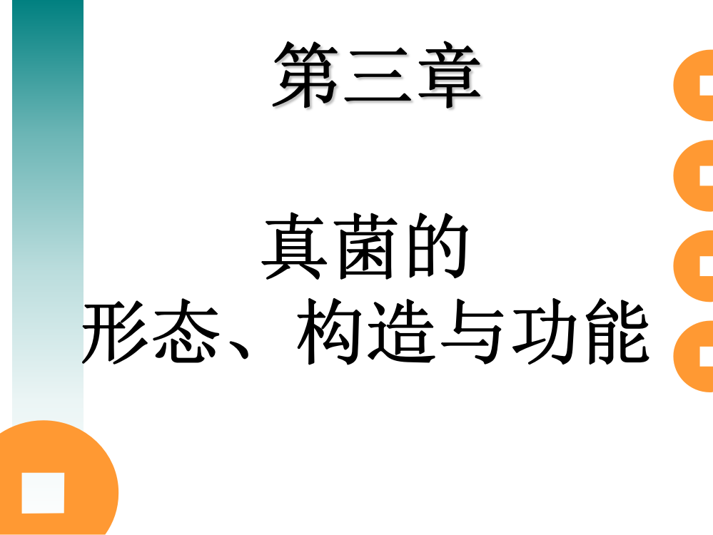 真核生物的形态、构造与功能-工业微生物学课件-03