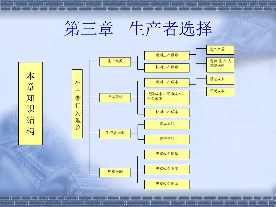 第三章生产者选择