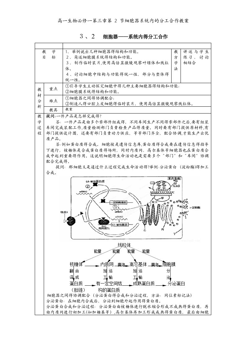 高一生物必修一第三章第2节细胞器系统内的分工合作教案