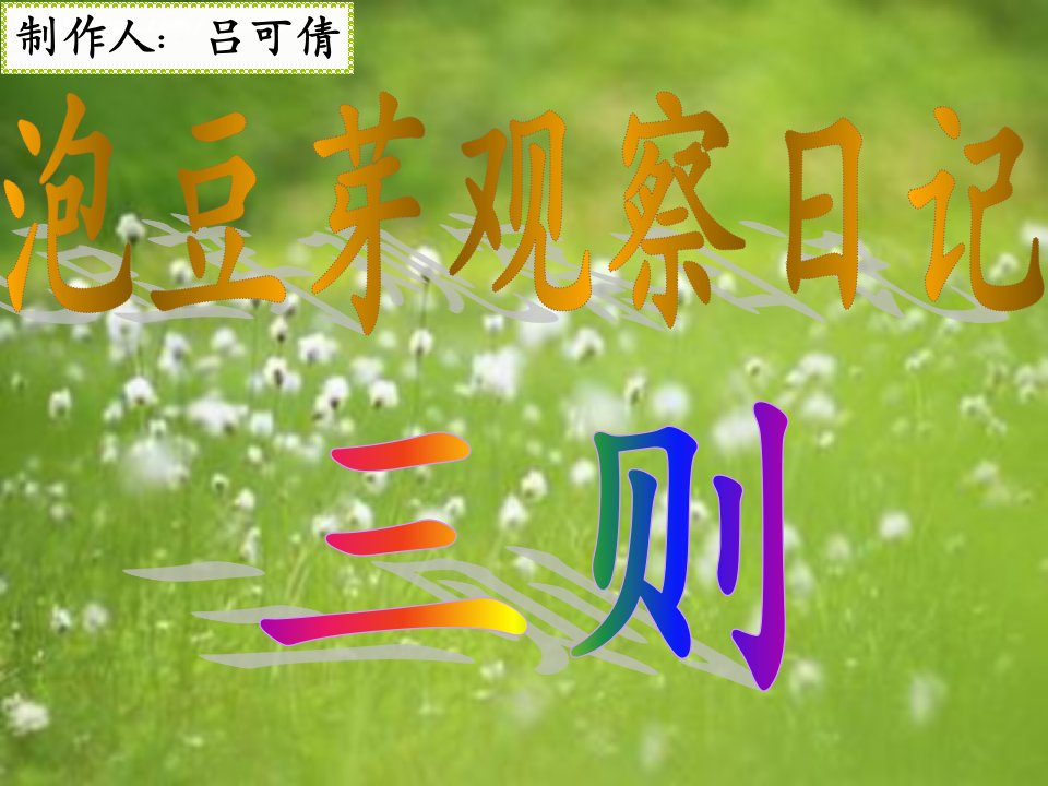 泡豆芽日记_图文-课件（PPT演示稿）