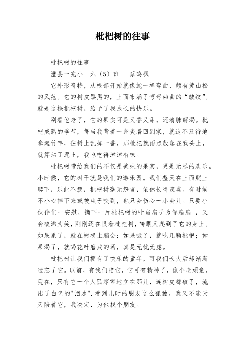 枇杷树的往事