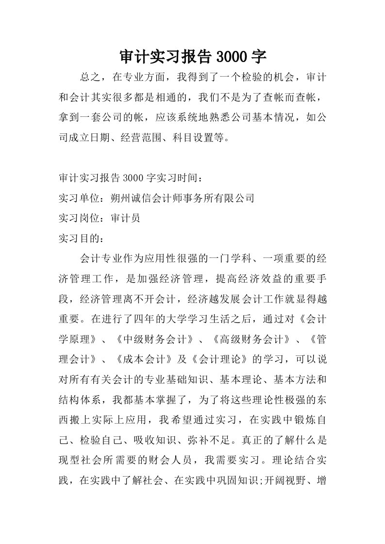 审计实习报告3000字.doc