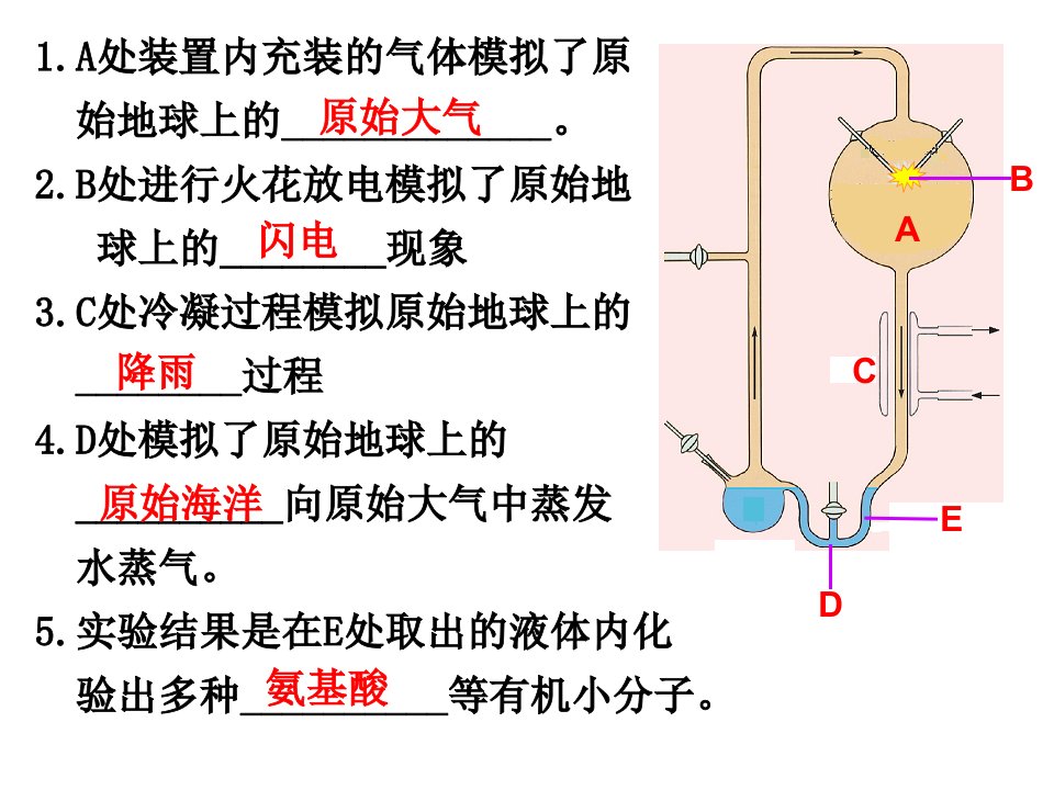 第十六章-第二节生物进化的历程ppt课件2021--2022学年苏教版-八年级上册