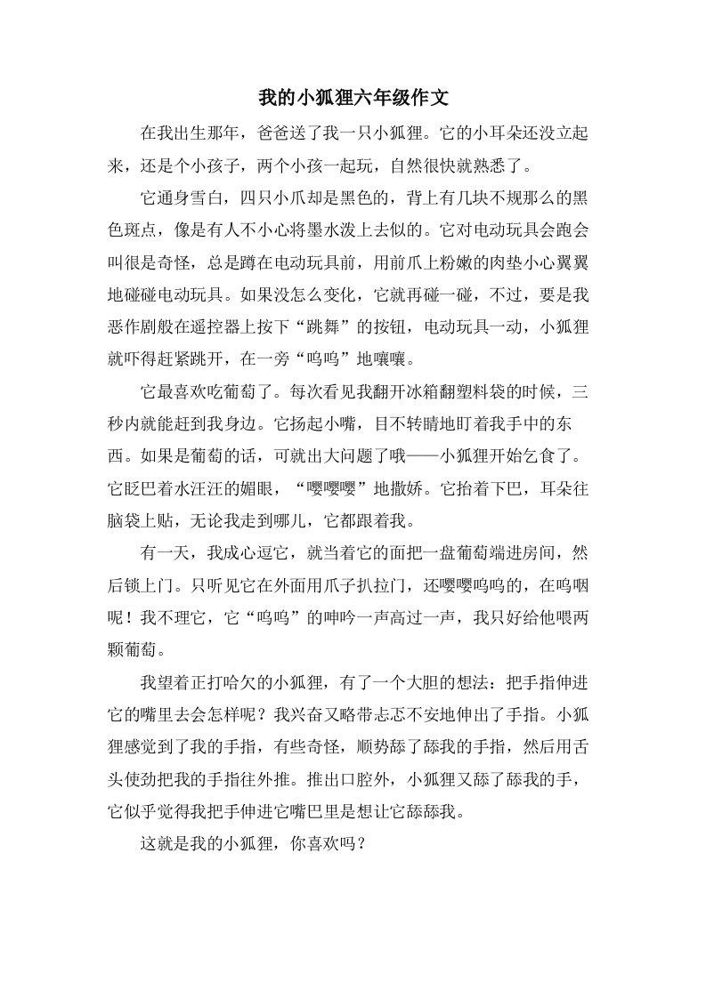 我的小狐狸六年级作文