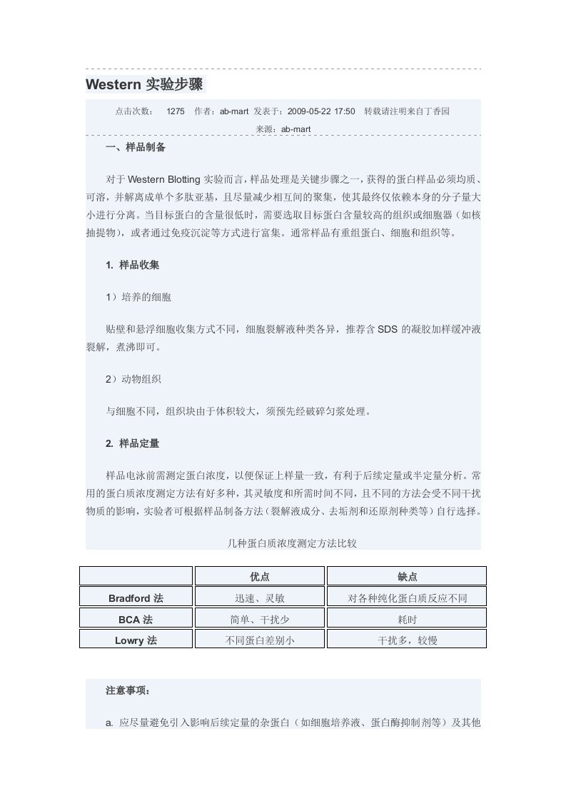 Western实验步骤及注意事项