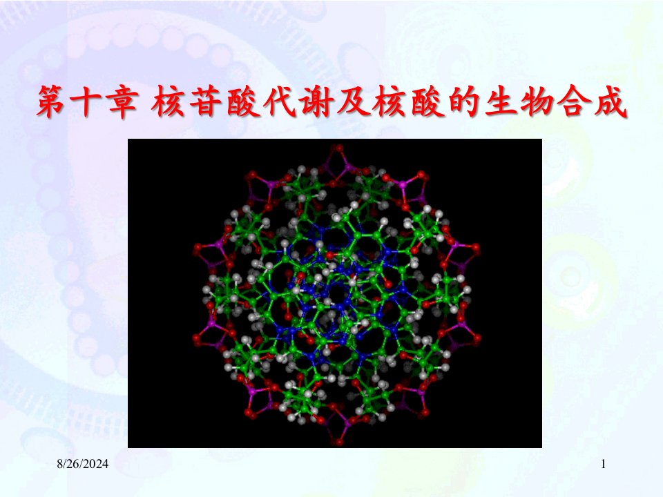 第十章核苷酸代谢及核酸的生物合成课件