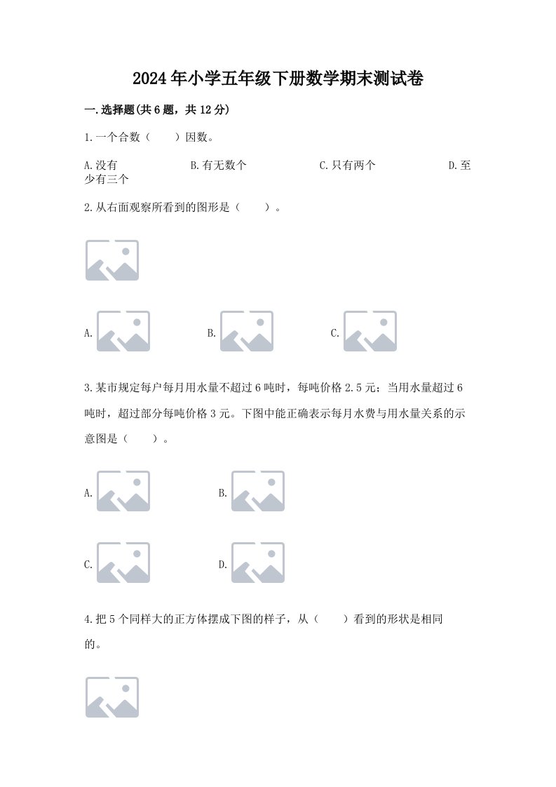 2024年小学五年级下册数学期末测试卷（考点梳理）