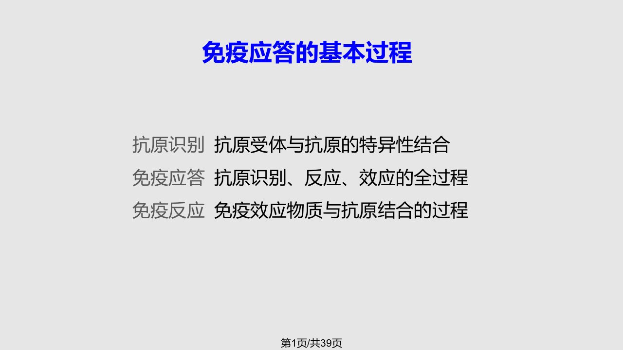 T细胞介导免疫中文PPT课件