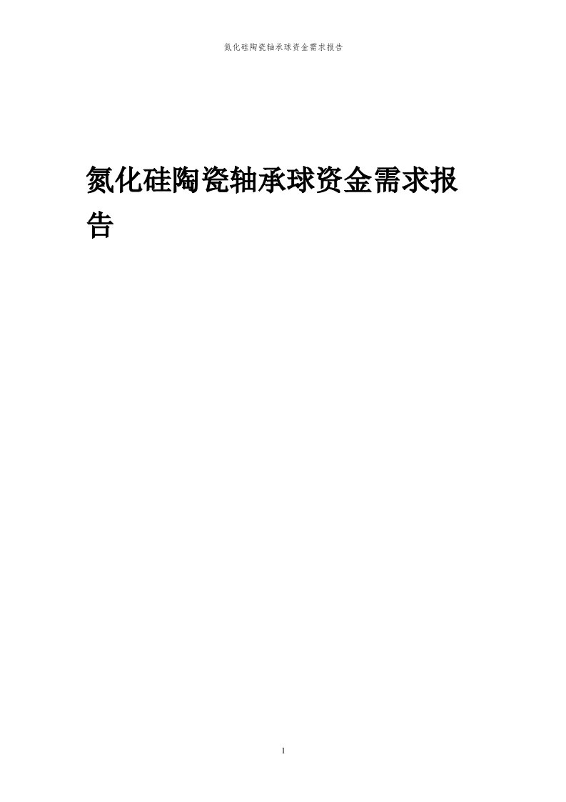 2024年氮化硅陶瓷轴承球项目资金需求报告代可行性研究报告