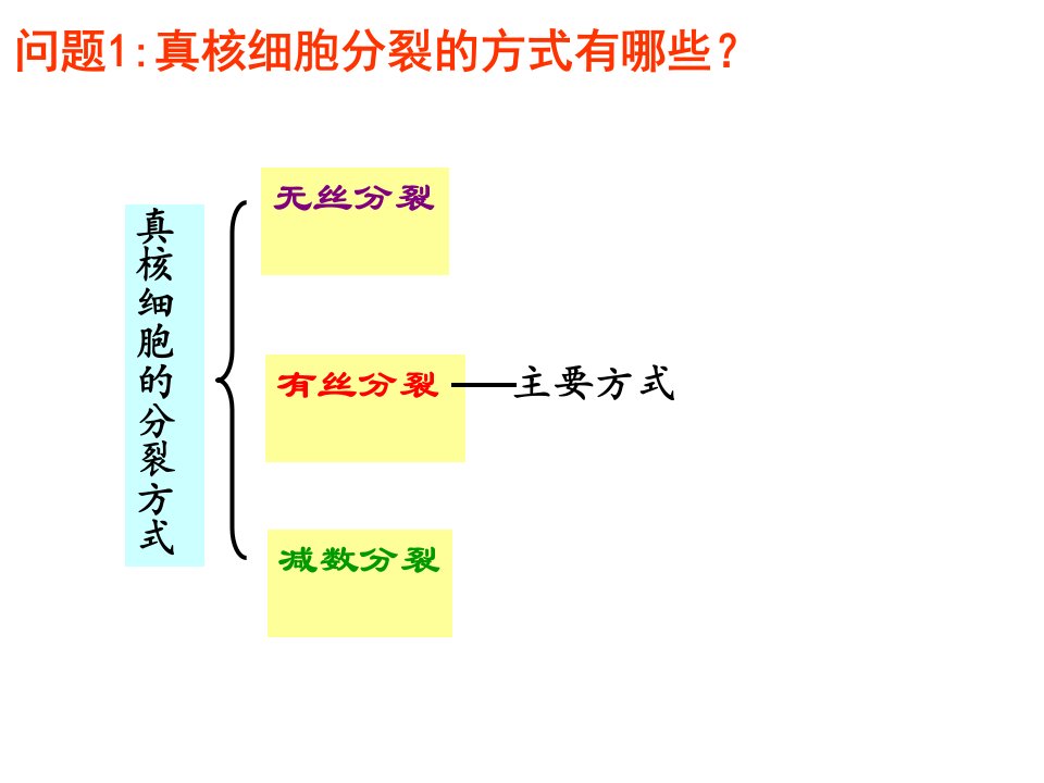 细胞分裂总复习演示图