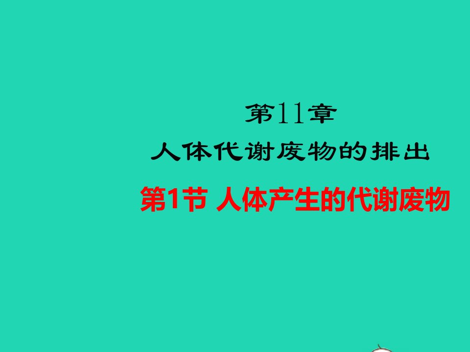 七年级生物下册第四单元生物圈中的人第11章人体代谢废物的排出第1节人体产生的代谢废物教学课件新版北师大版