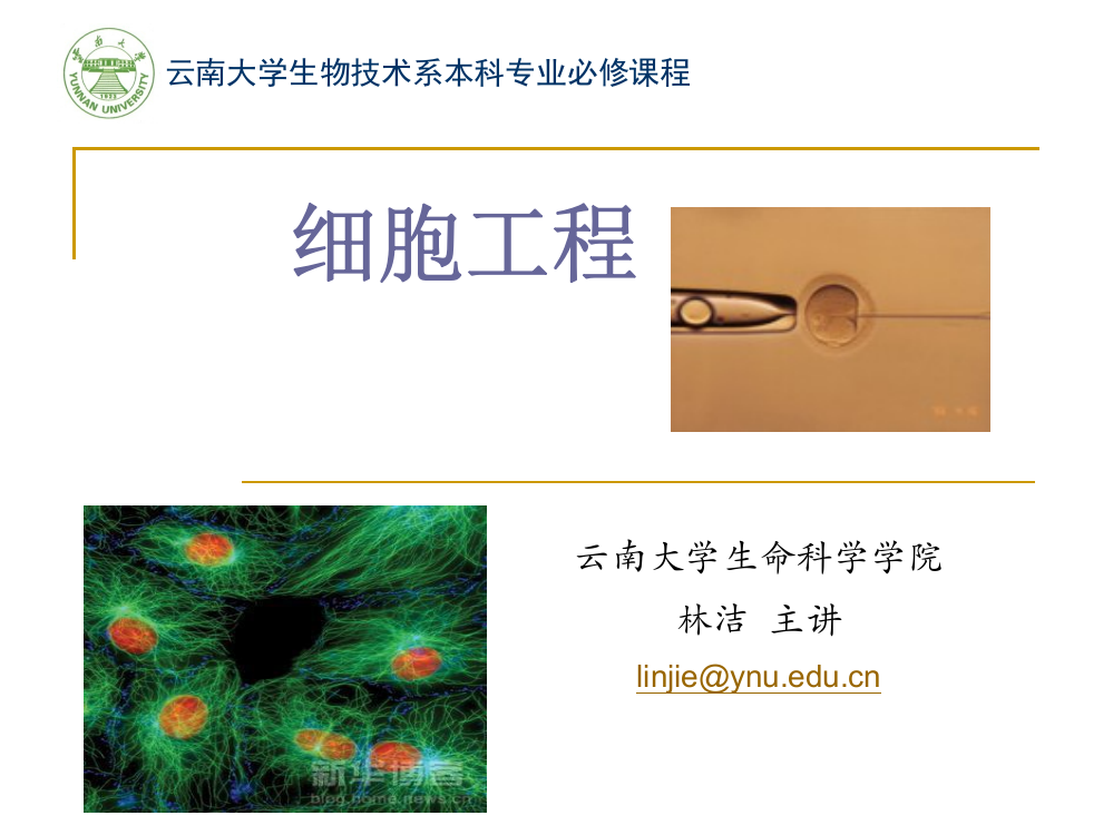 动物细胞工程Ch1