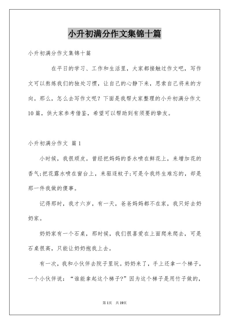 小升初满分作文集锦十篇例文