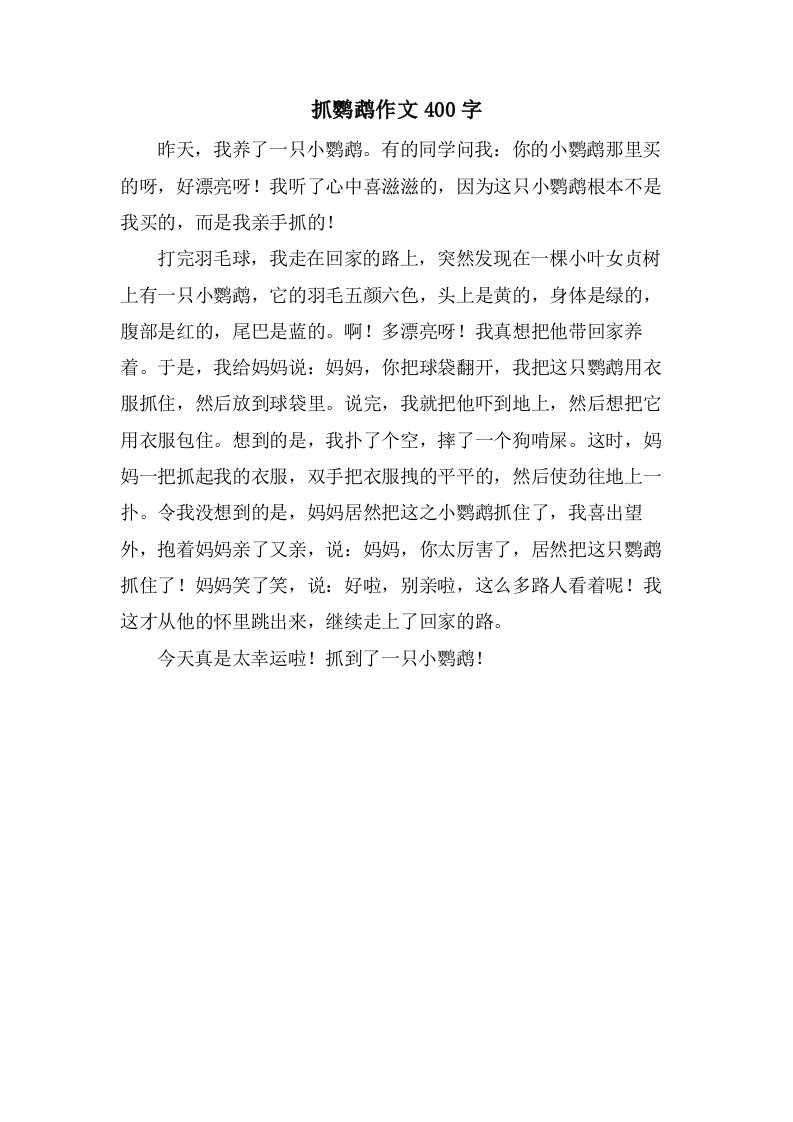 抓鹦鹉作文400字