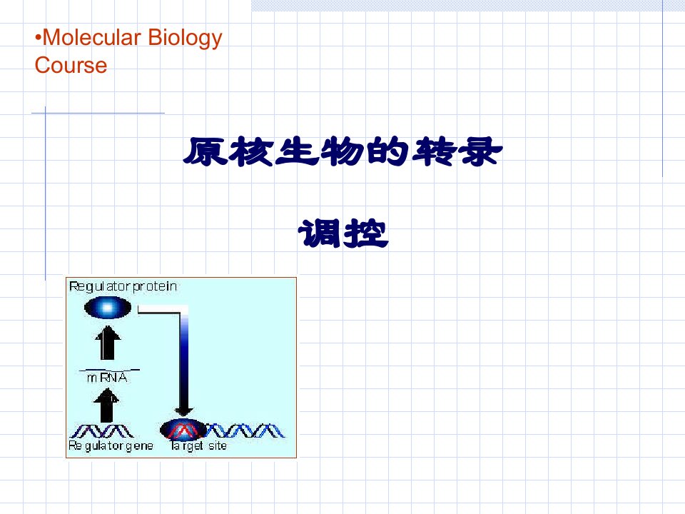 原核生物转录调控cla