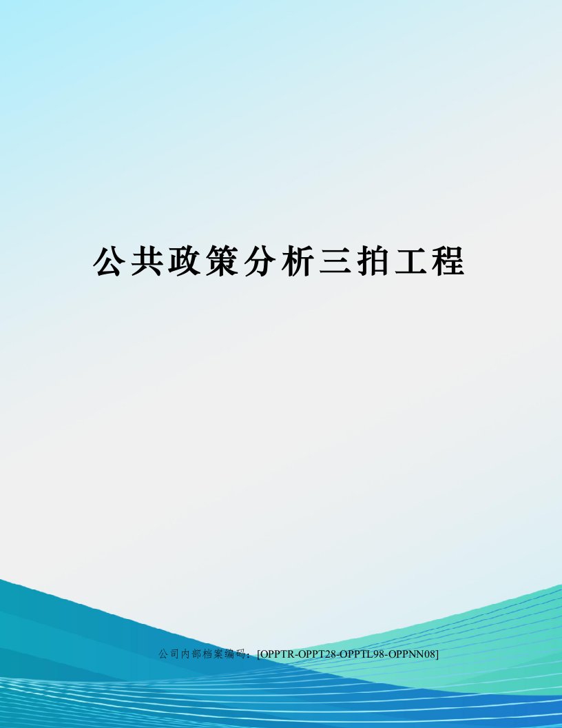 公共政策分析三拍工程