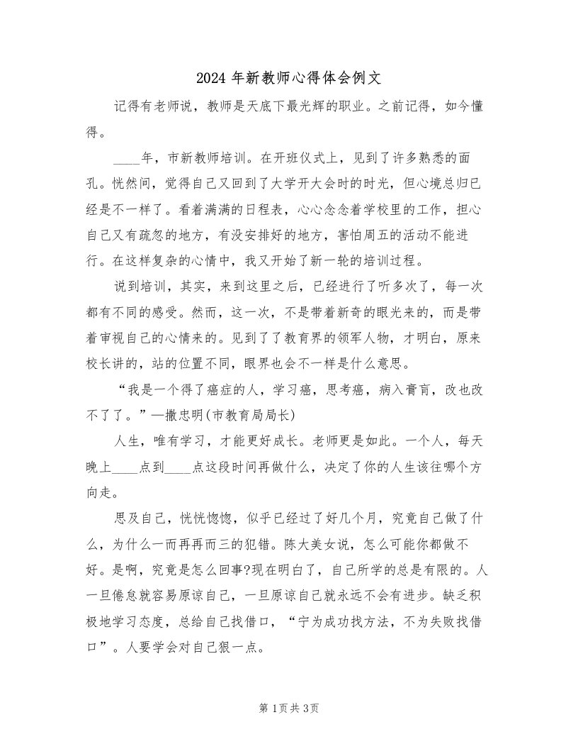 2024年新教师心得体会例文（2篇）