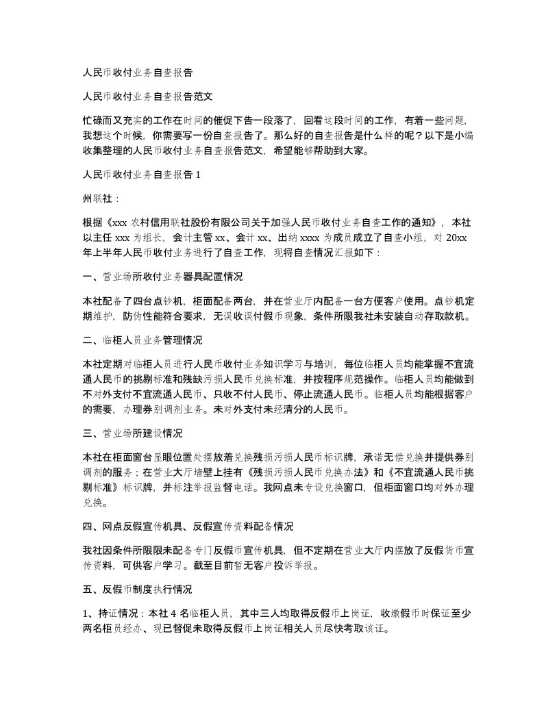 人民币收付业务自查报告