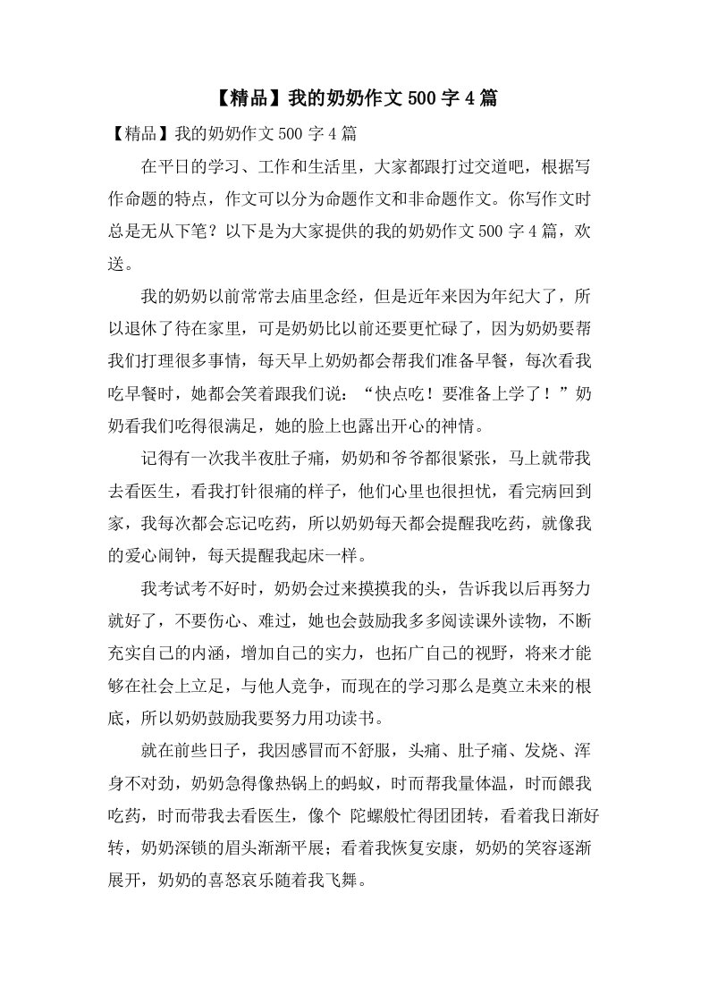 我的奶奶作文500字4篇2