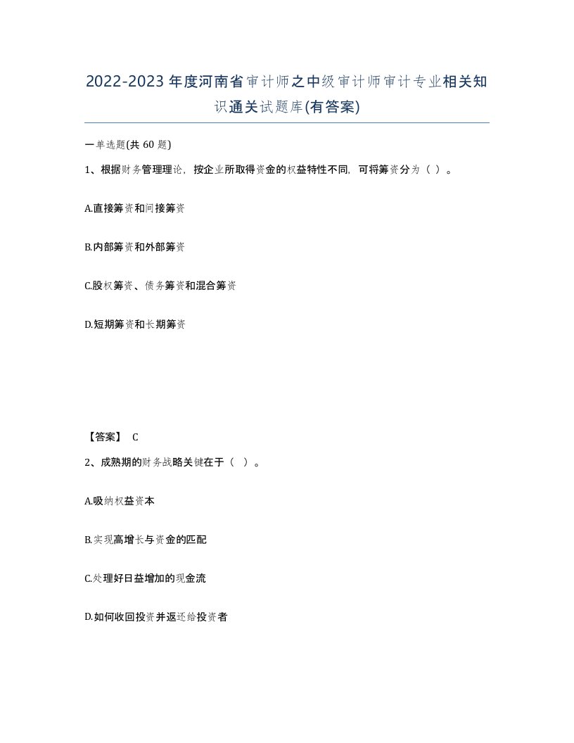 2022-2023年度河南省审计师之中级审计师审计专业相关知识通关试题库有答案