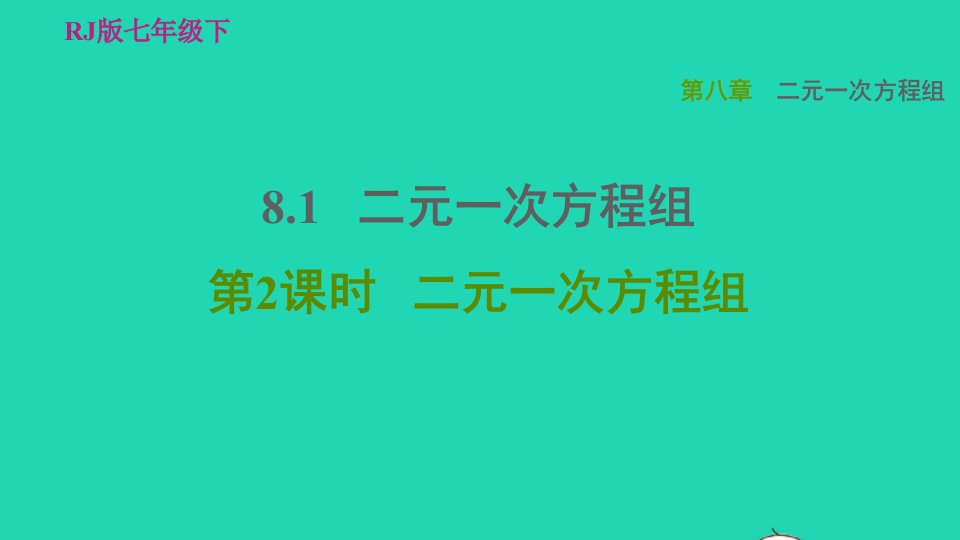 2022春七年级数学下册第八章二元一次方程组8.1二元一次方程组第2课时二元一次方程组习题课件新版新人教版1