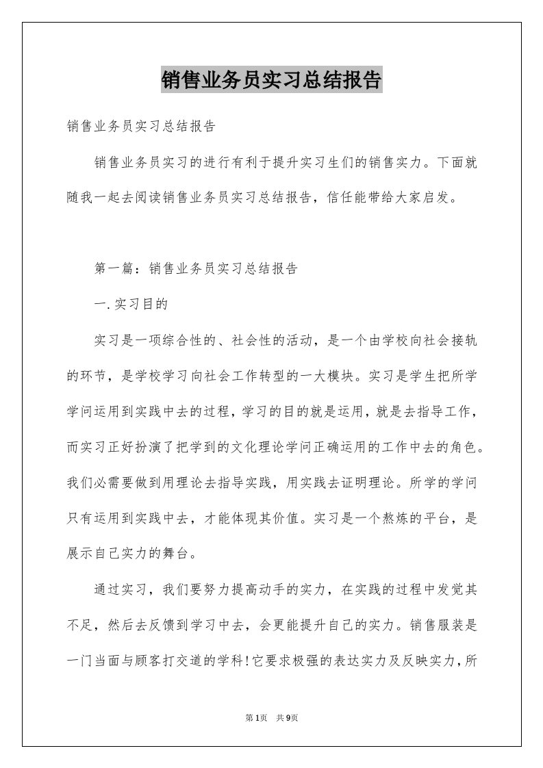 销售业务员实习总结报告