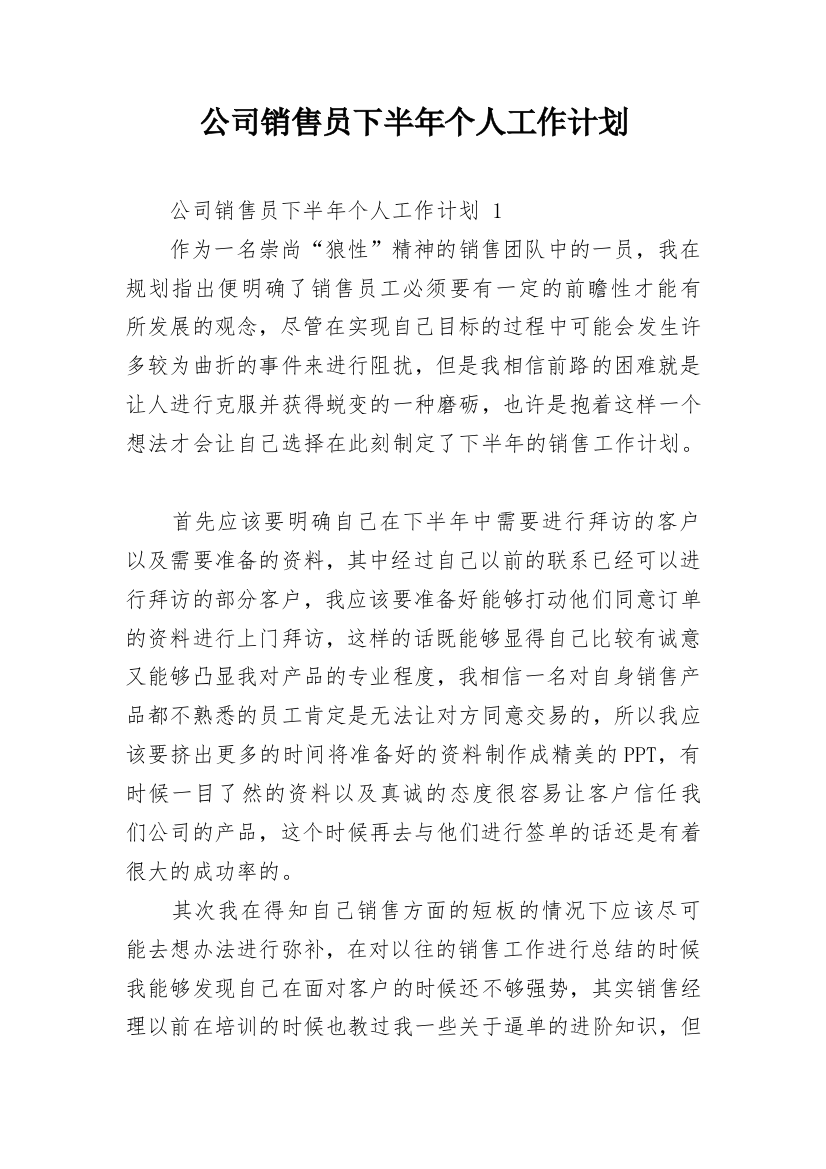 公司销售员下半年个人工作计划