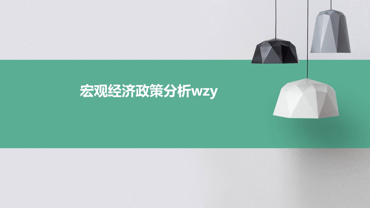 宏观经济政策分析wzy