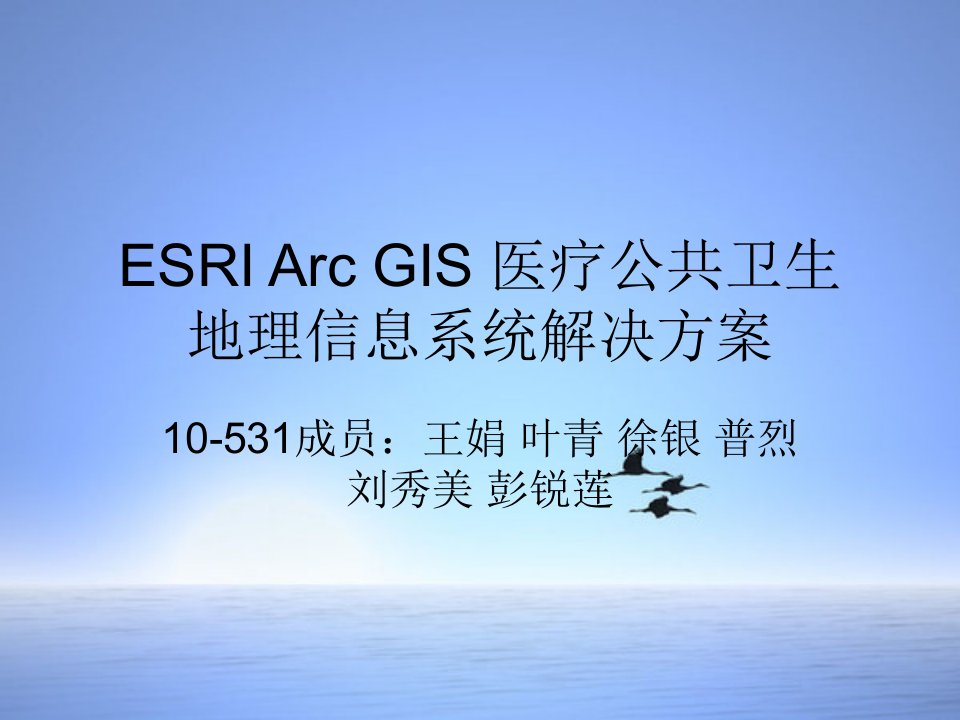 地理信息系统ESRIArcGIS医疗公共卫生地理信息系统解决方案