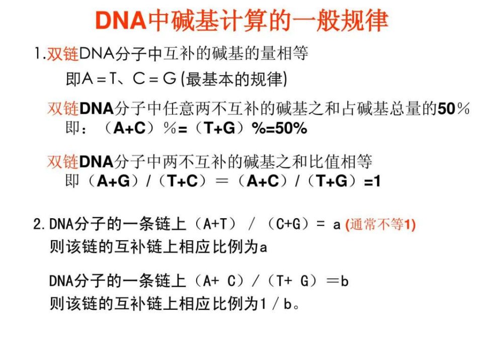 DNA中碱基计算的一般规律.ppt