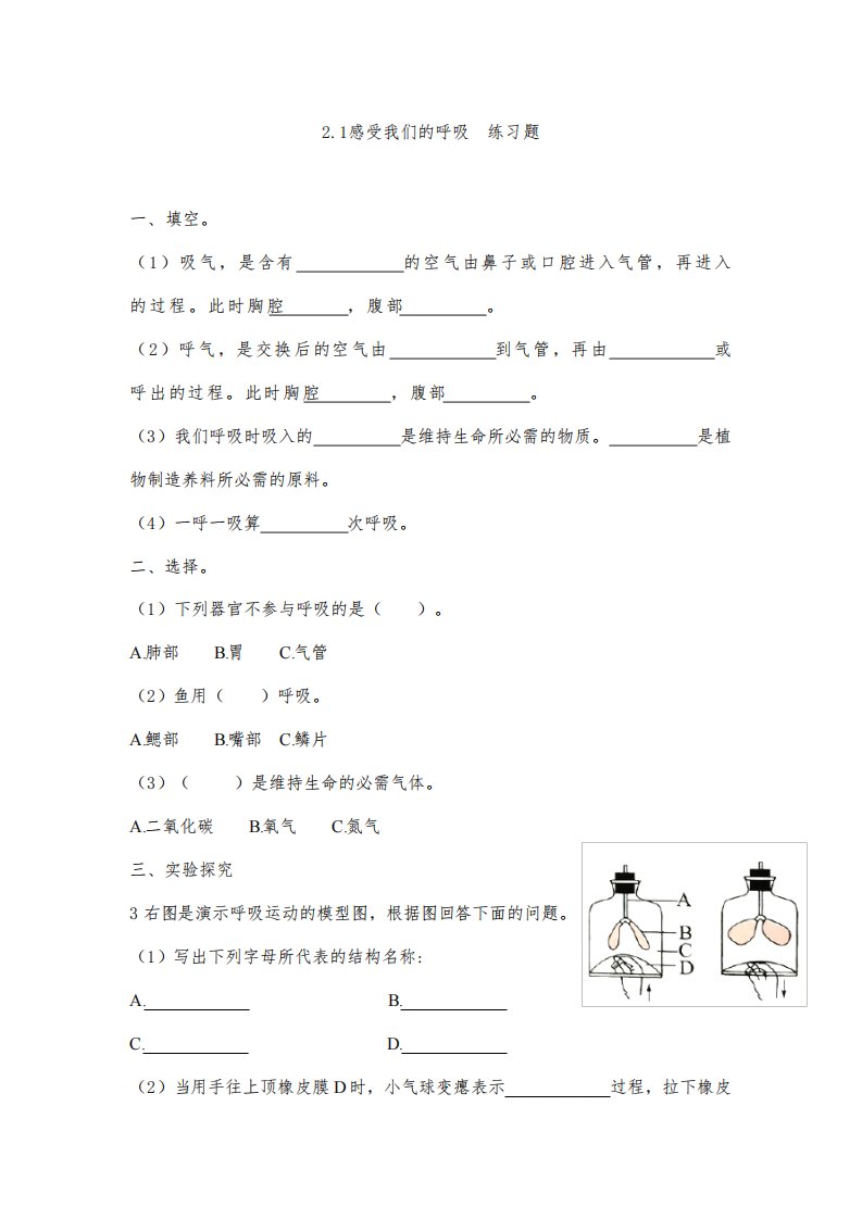 教科版四年级科学上册第二章《呼吸和消化》练习题