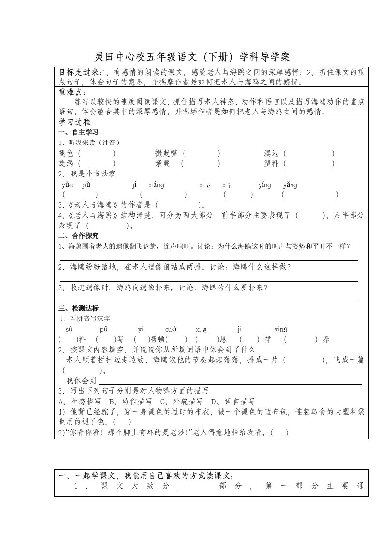 《老人与海鸥》导学案