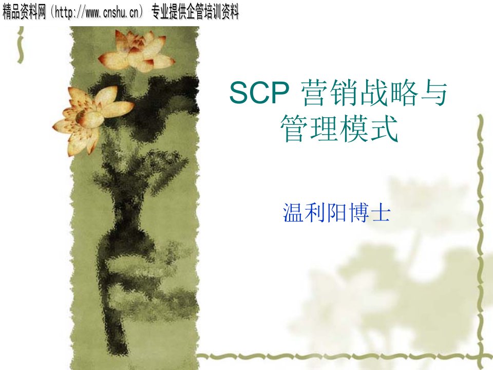 [精选]SCP营销战略与管理模式(2)