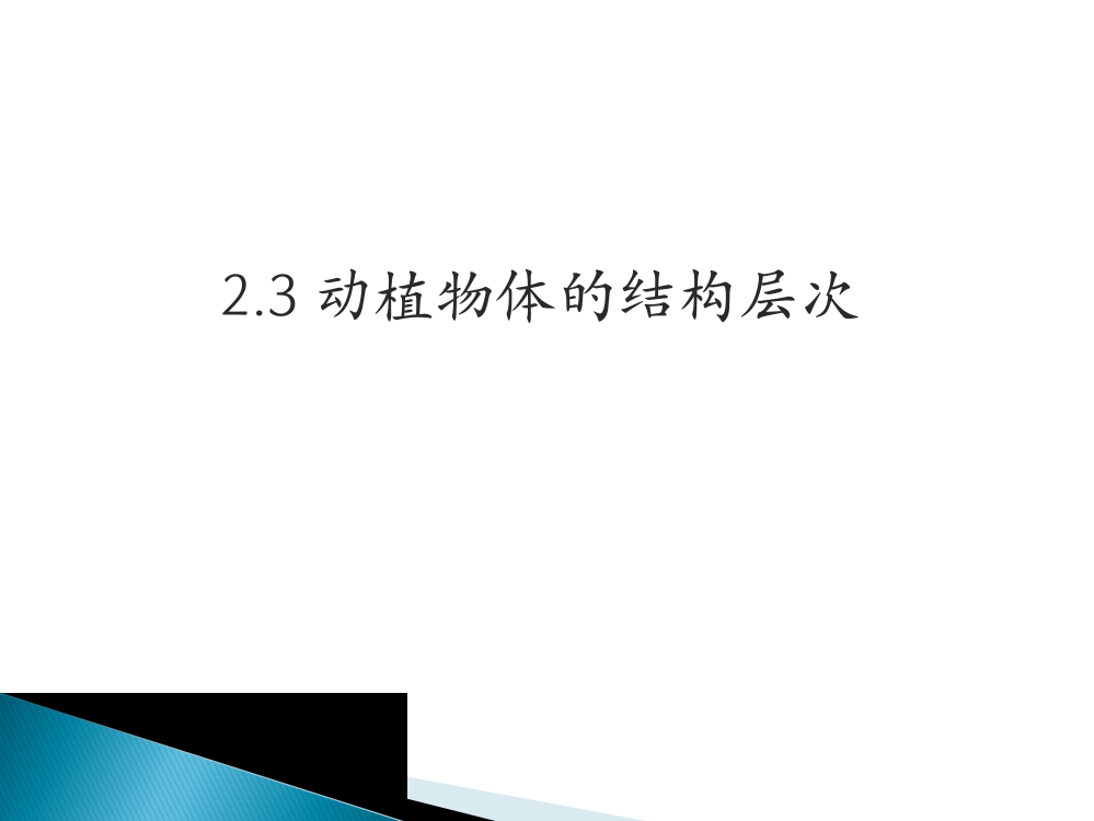 动植物的结构层次ppt课件