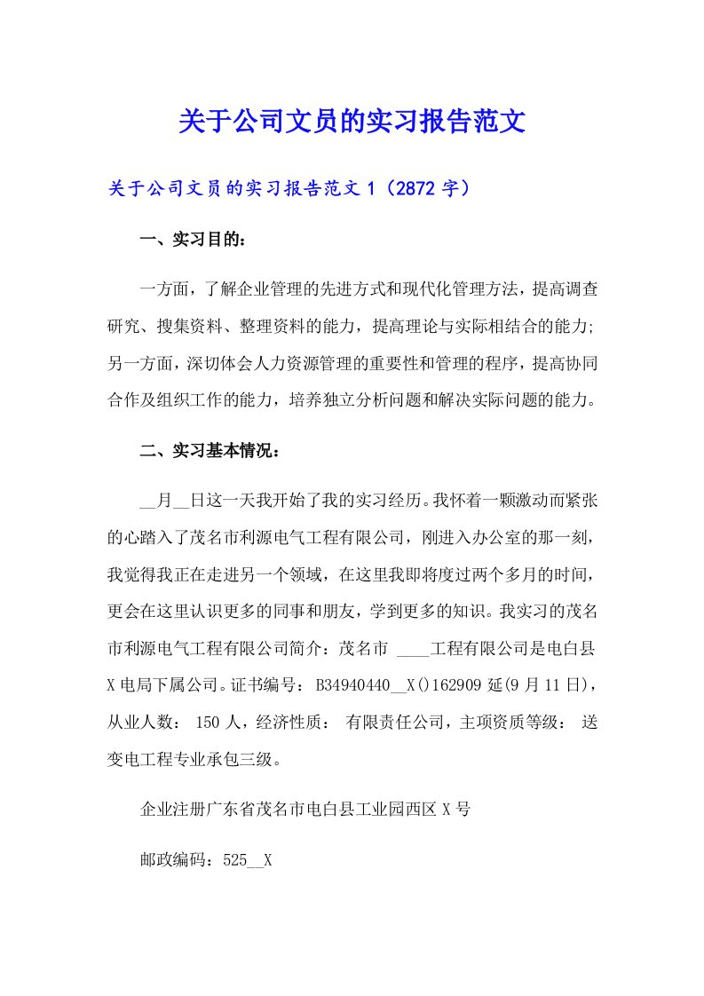 关于公司文员的实习报告范文