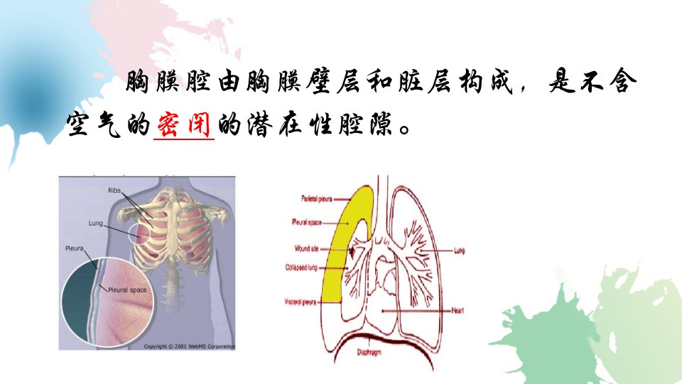 自发性气胸的护理小讲课