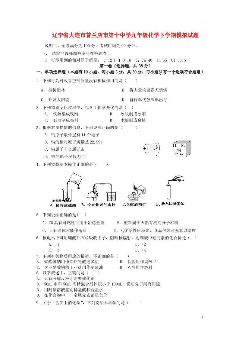 辽宁省大连市普兰店市第十中学九级化学下学期模拟试题