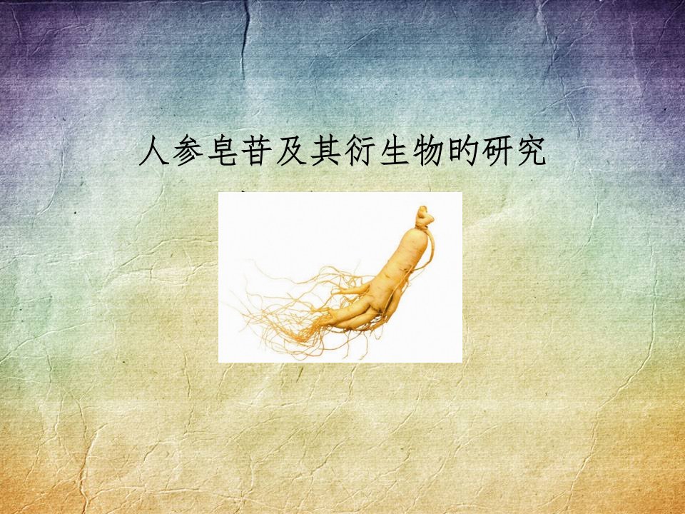 人参皂苷及其衍生物的研究公开课获奖课件百校联赛一等奖课件