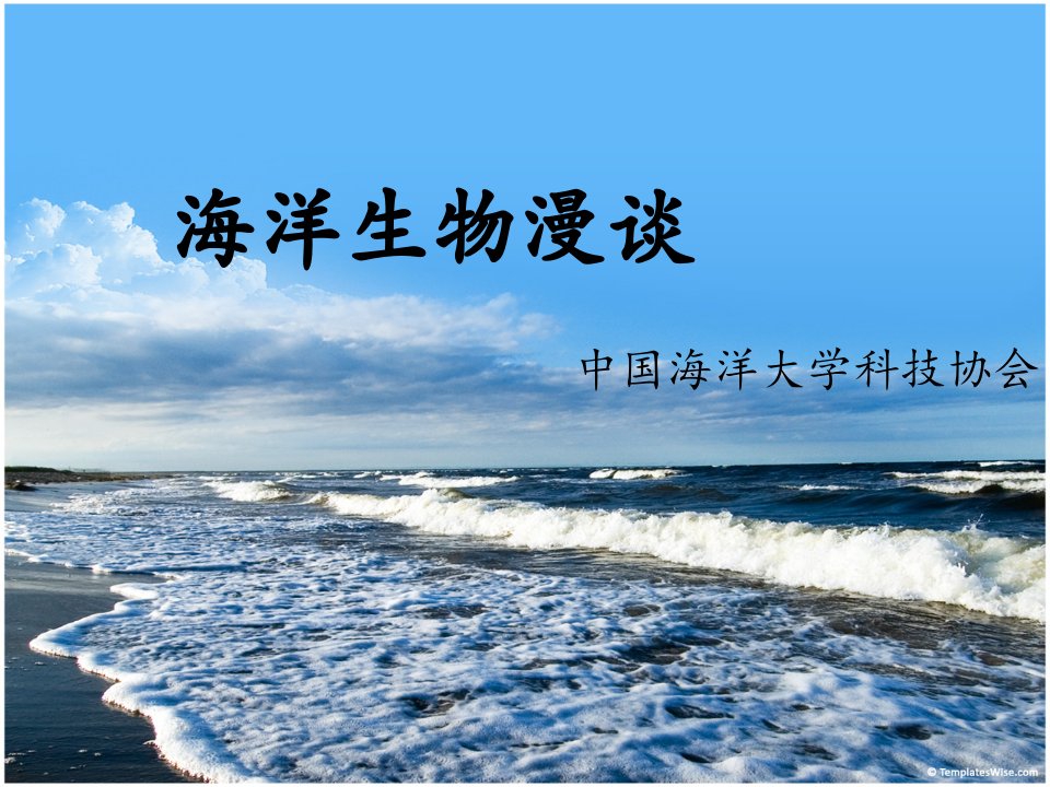 海洋生物科普知识讲义模板公开课一等奖市赛课获奖课件