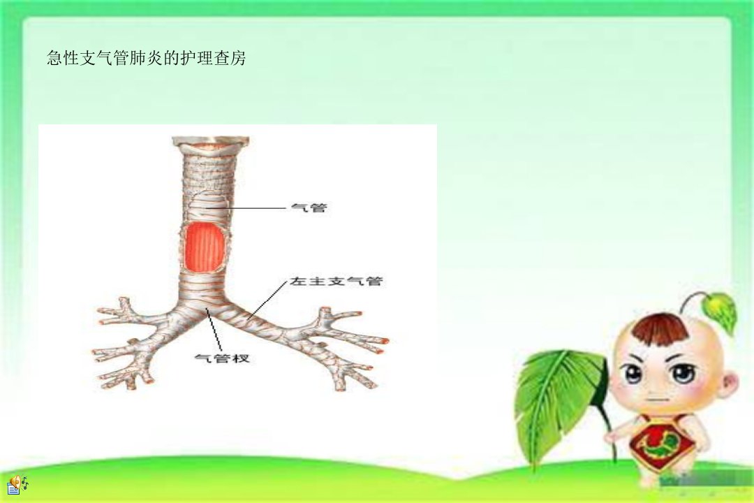 小儿急性支气管炎的护理查房