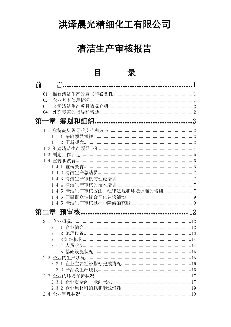 清洁生产审核报告--精细化工有限公司