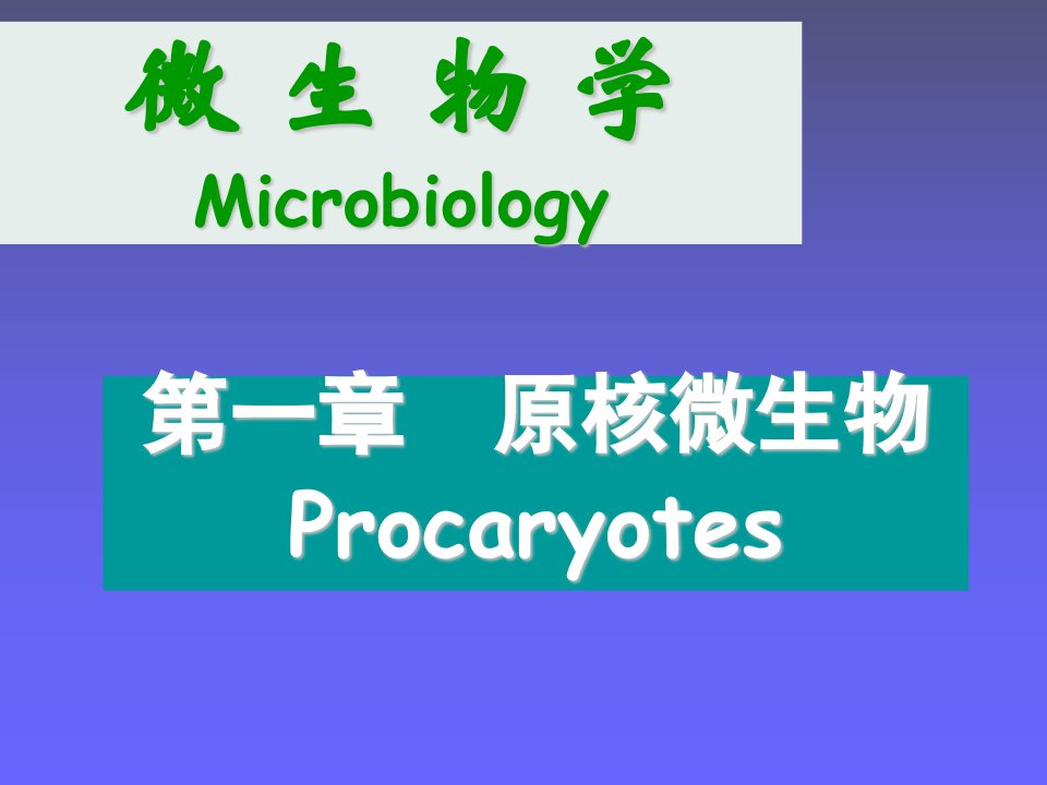 生物科技-微生物学课件2