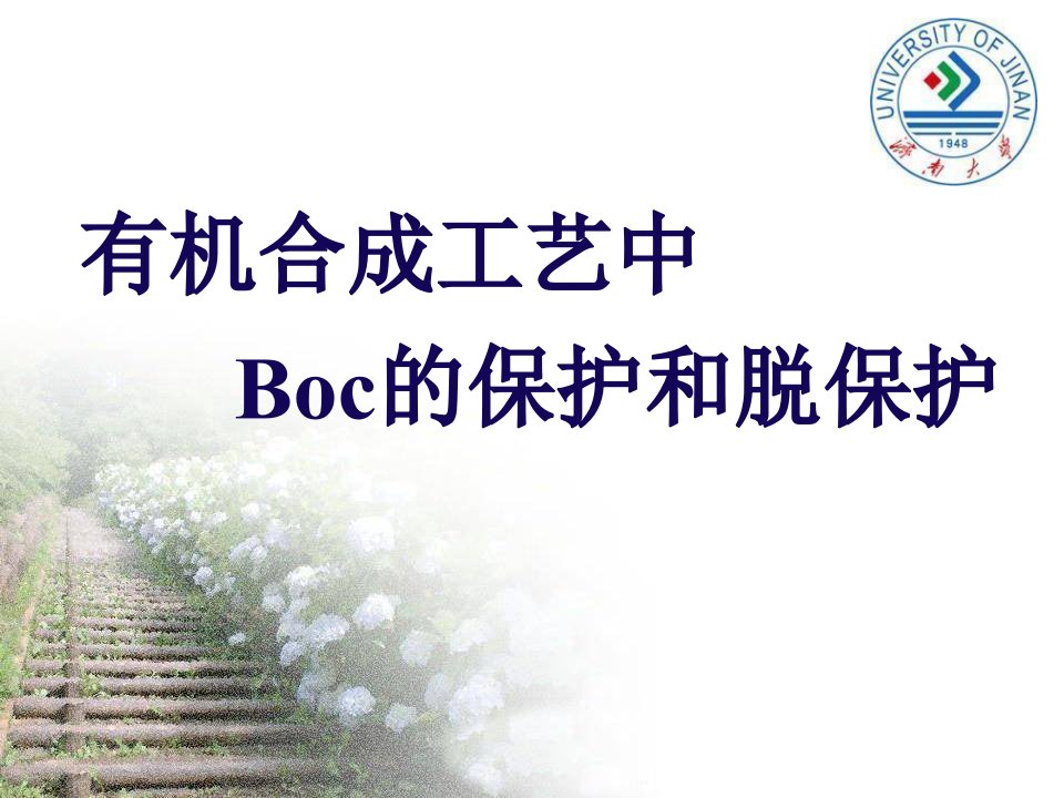 有机合成工艺中Boc的保护和脱保护ppt课件