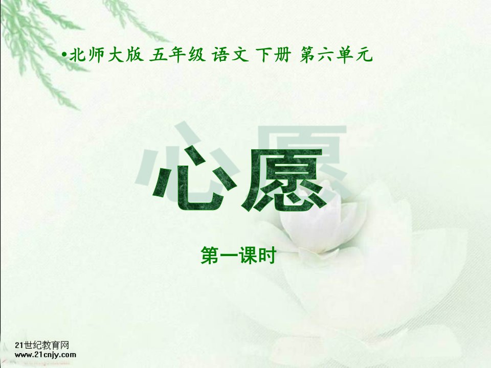 北师大版第十册心愿1第一课时课件